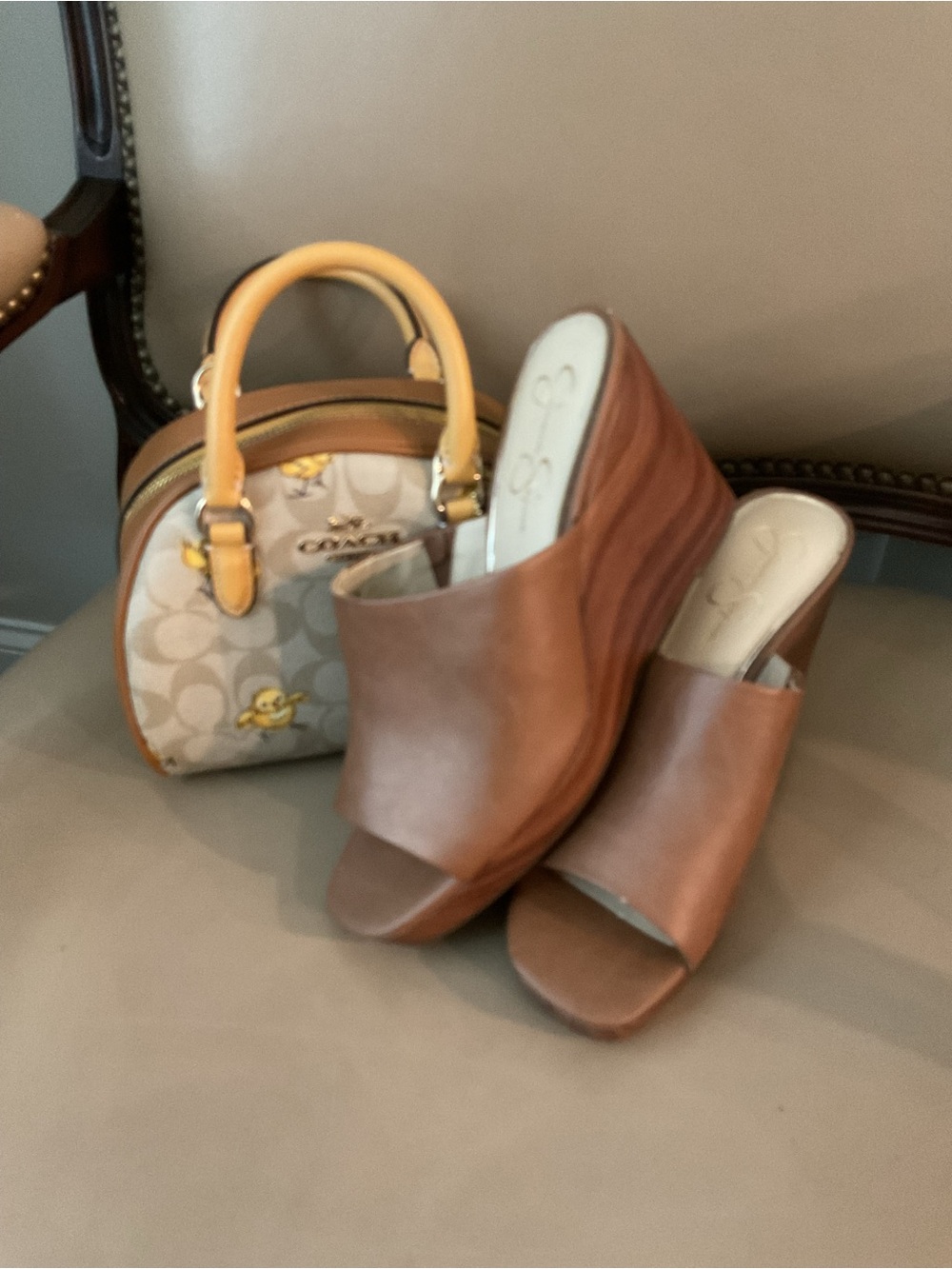 Coach Beige Mini Satchel with Yellow Chick Print (nwot)